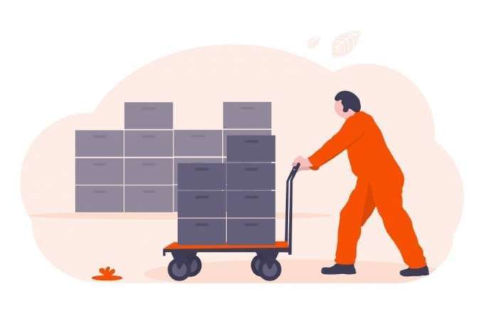 undraw_Statistics_re_kox4 Kopie